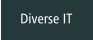 Diverse IT