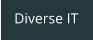Diverse IT